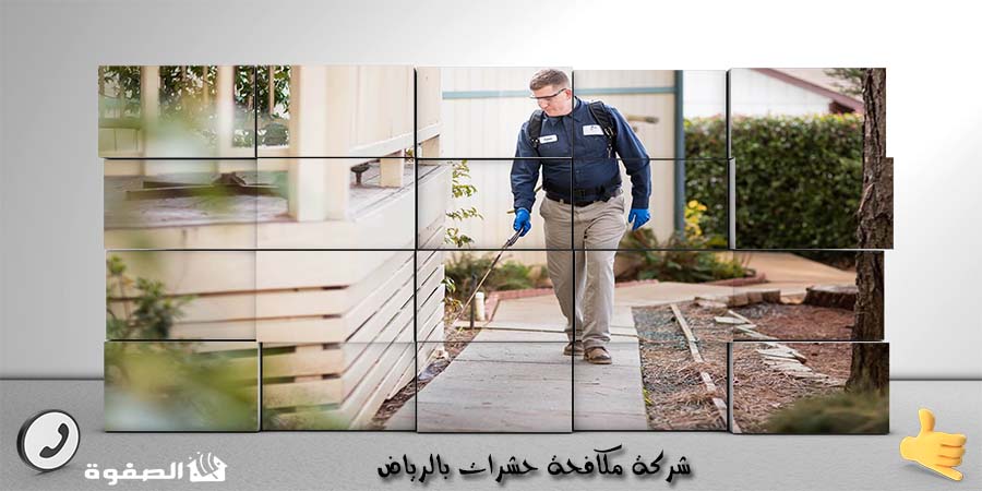 شركة مكافحة حشرات بالرياض