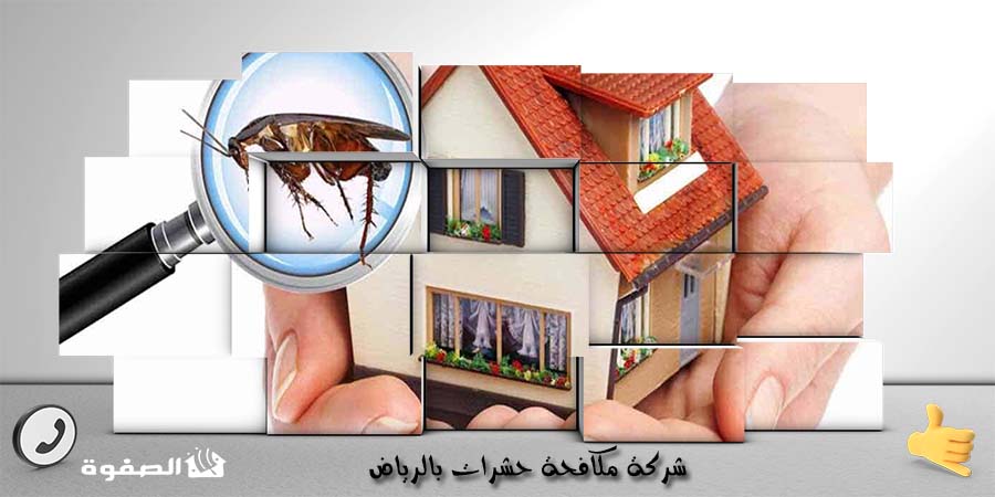 شركة مكافحة حشرات بالرياض