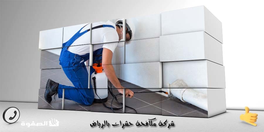 شركة مكافحة حشرات بالرياض