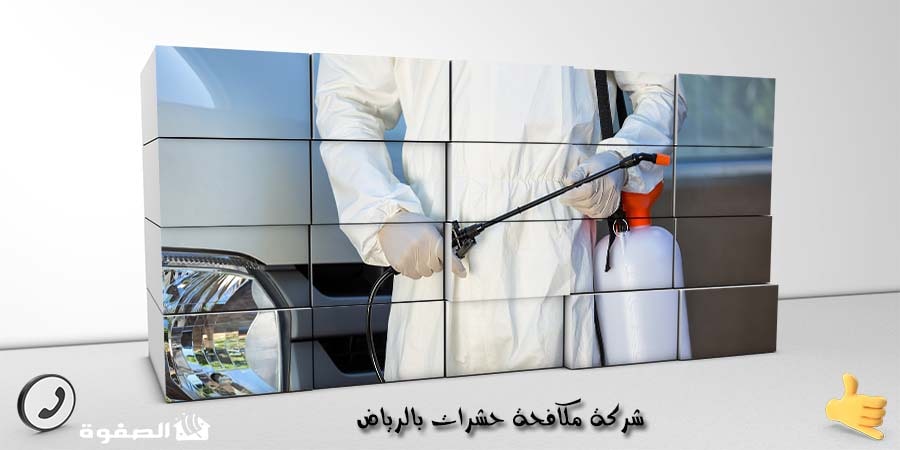 شركة مكافحة حشرات بالرياض