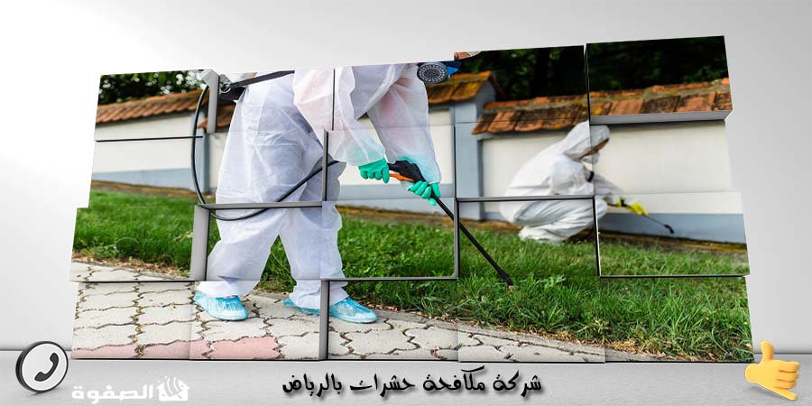 شركة مكافحة حشرات بالرياض