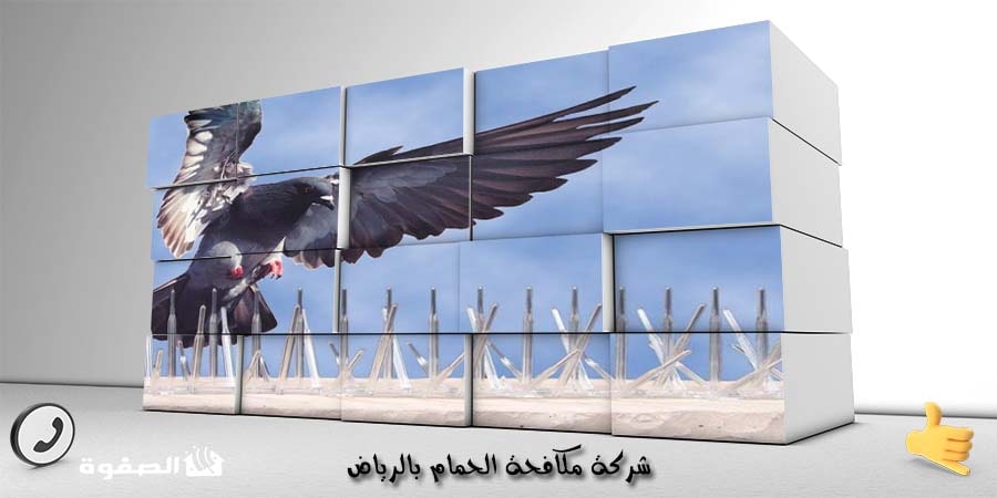 شركة مكافحة الحمام بالرياض