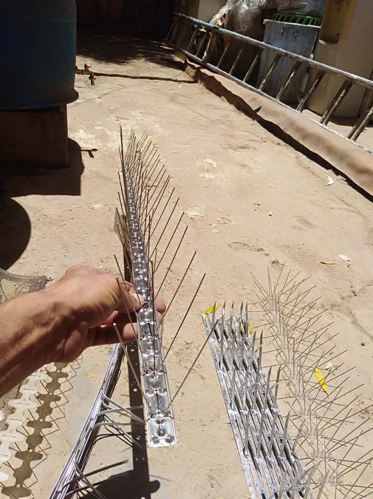 شركة طارد حمام شرق الرياض