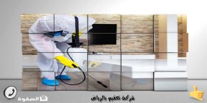 شركة تعقيم بالرياض 0533615107 شركة تعقيم بالرياض