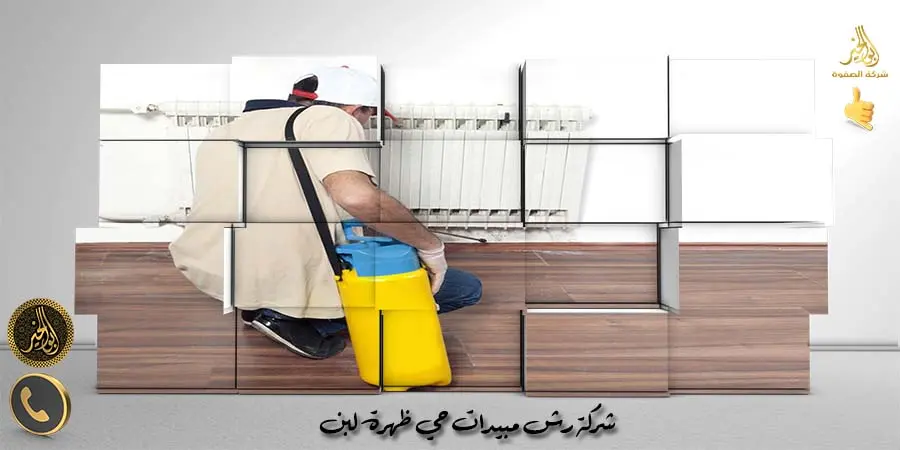شركة رش مبيدات حي ظهرة لبن
