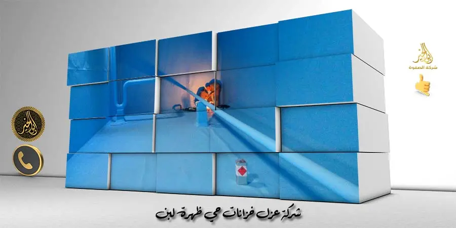 شركة عزل خزانات حي ظهرة لبن