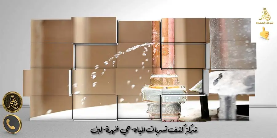 شركة كشف تسربات المياه حي ظهرة لبن