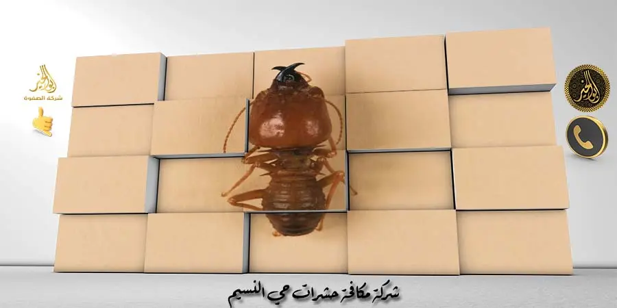 شركة مكافحة حشرات حي النسيم